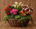 Coupe de plantes – Tons chauds